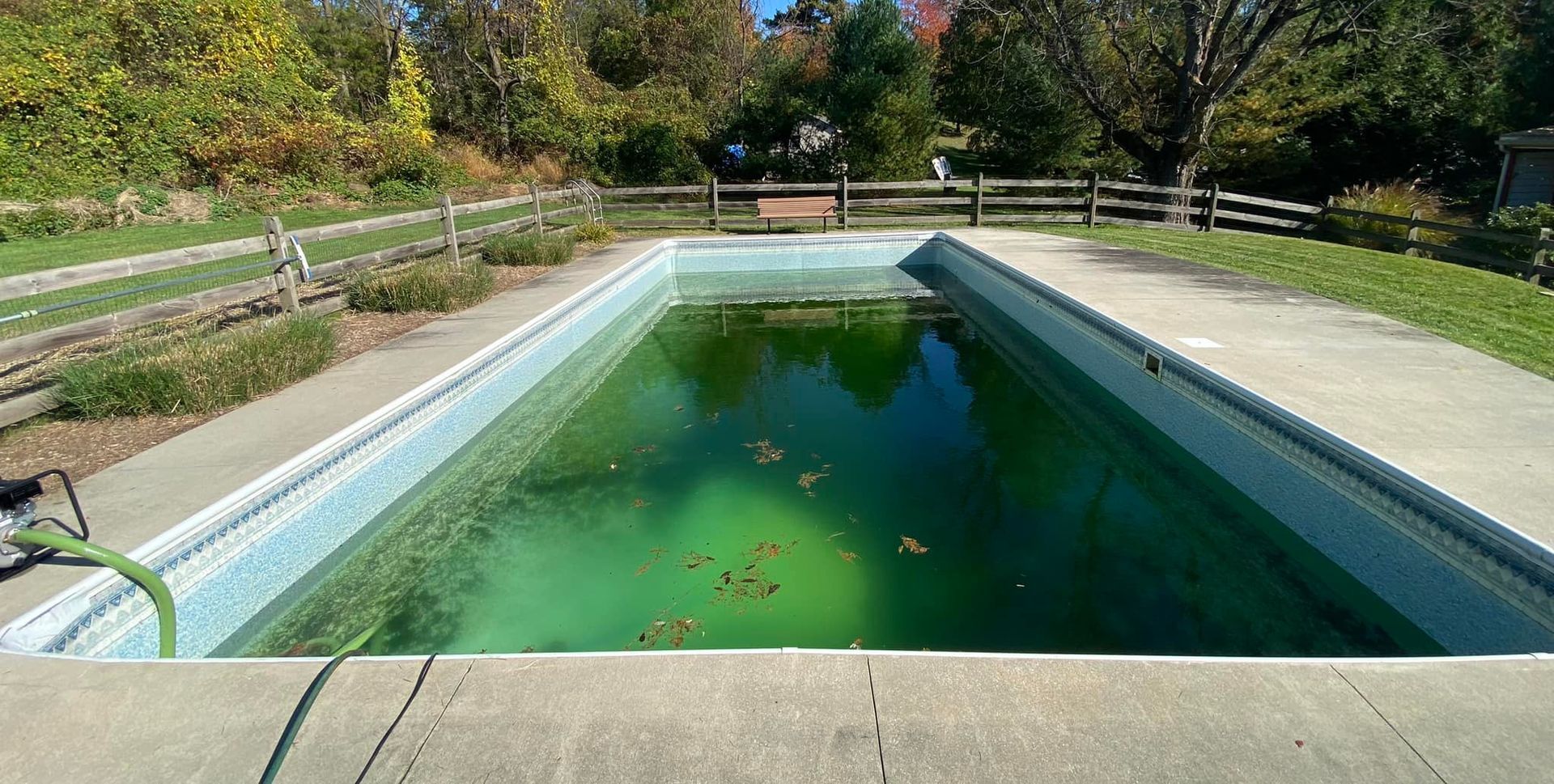 An empty swimming pool with green water and a hose attached to it.