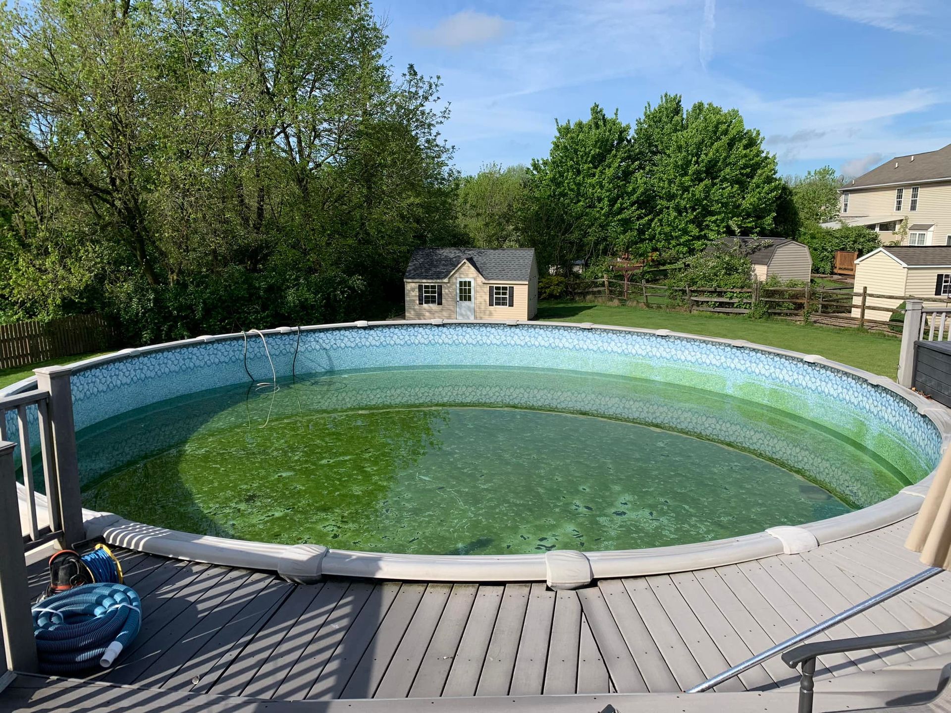 A swimming pool with green algae growing on it is sitting on top of a wooden deck.