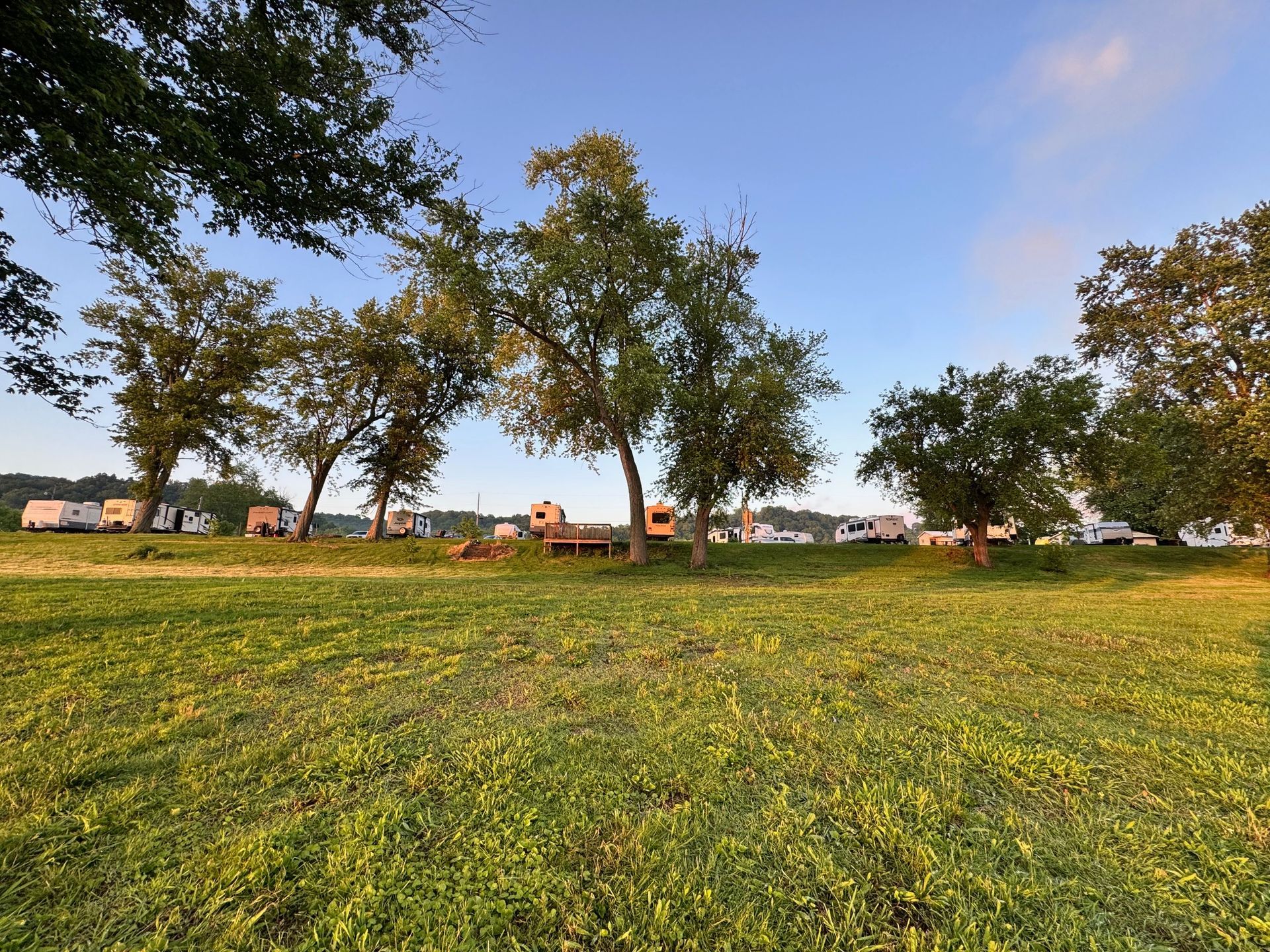 Sunlit grassy field with scattered trees under a blue sky at sunset