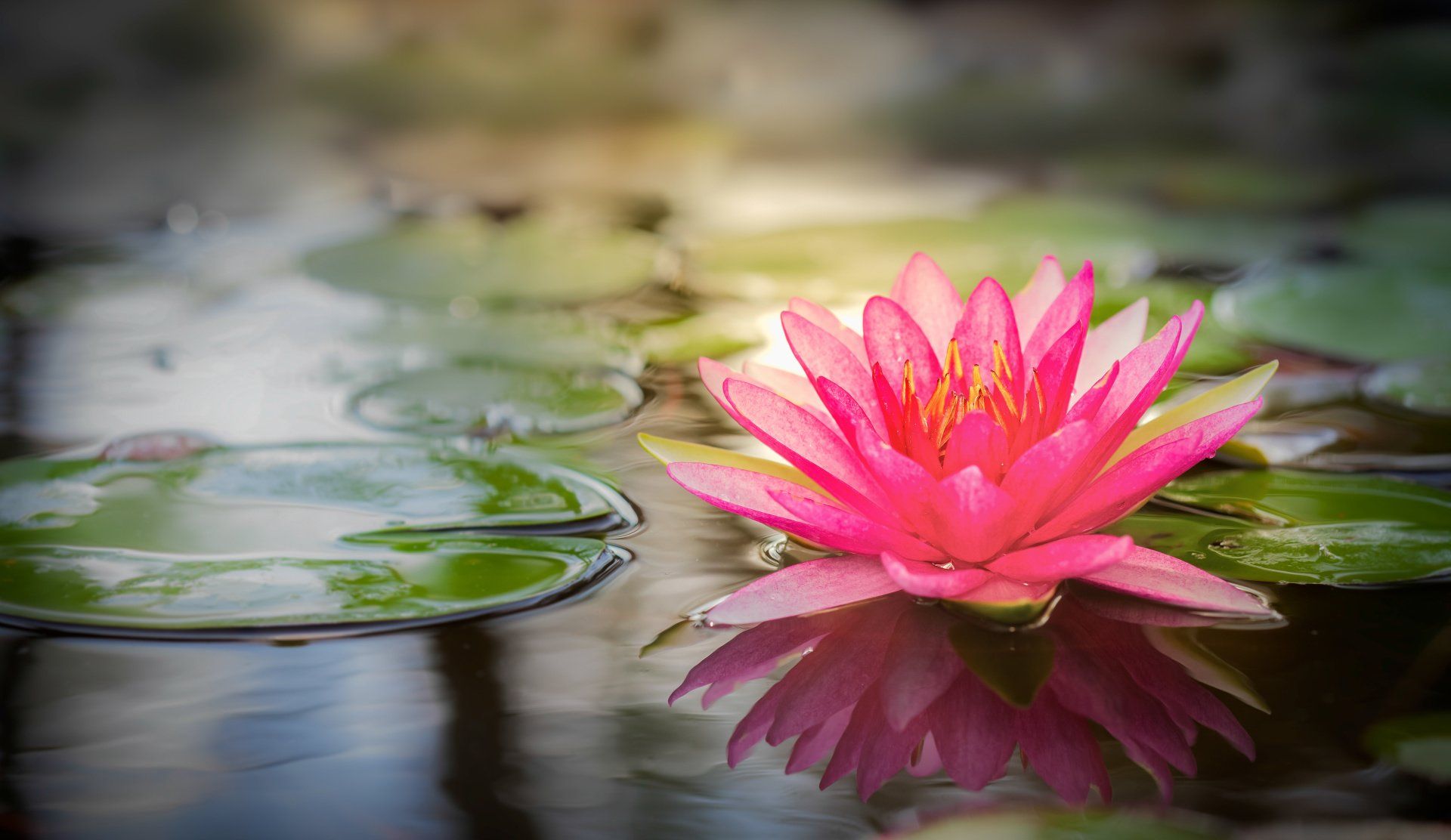 spa treatment flowers