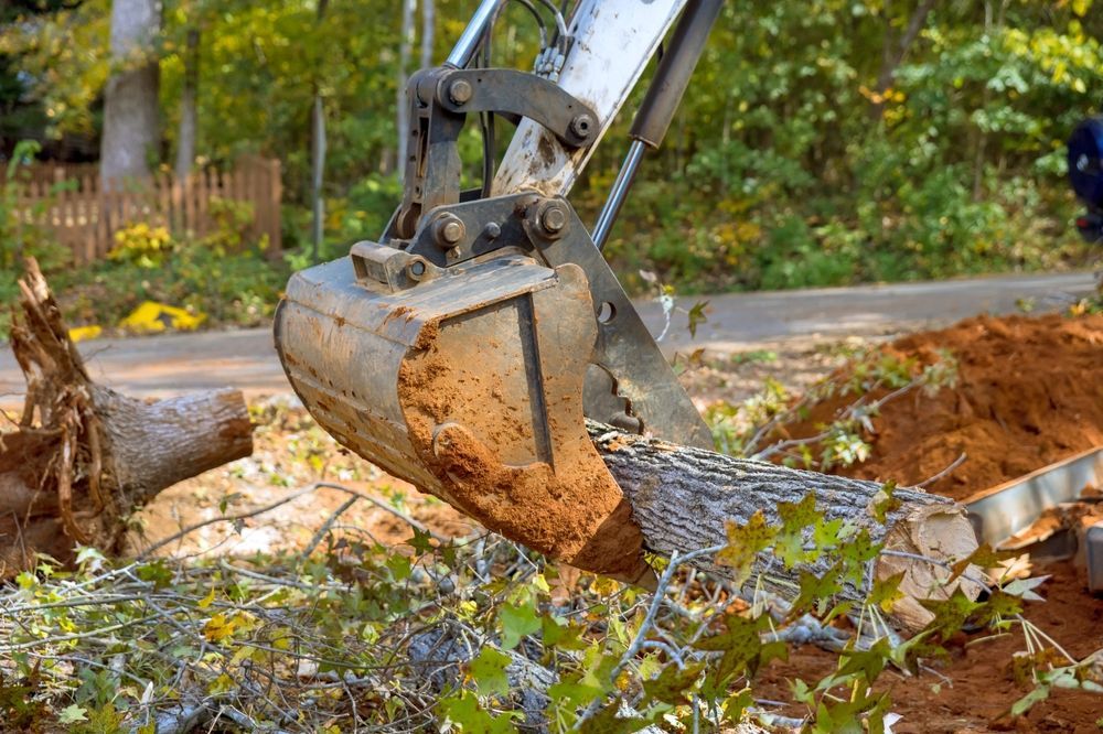 An excavator bucket filled with dirt over a tree stump and landscaping debris.