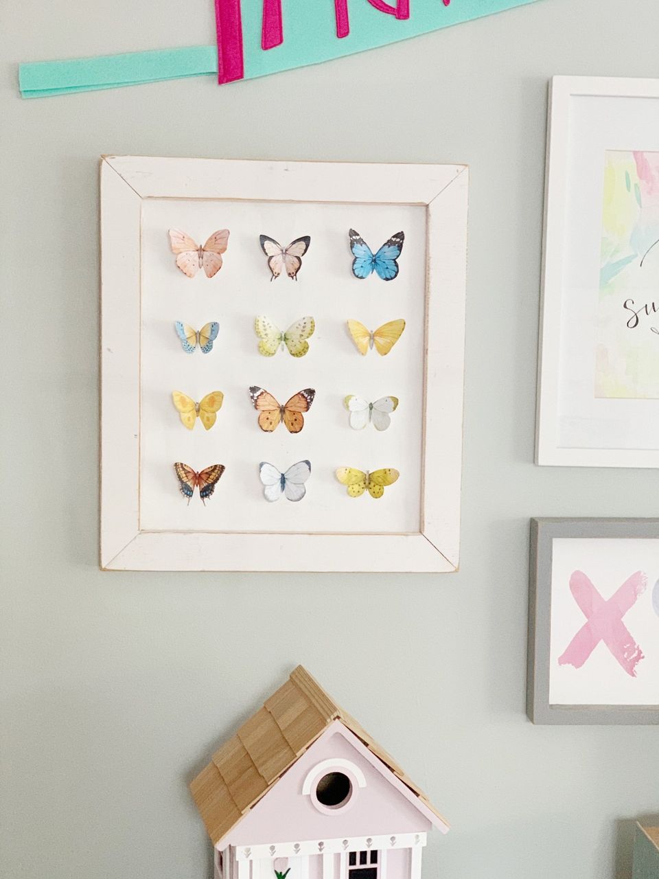 white framed butterfly study