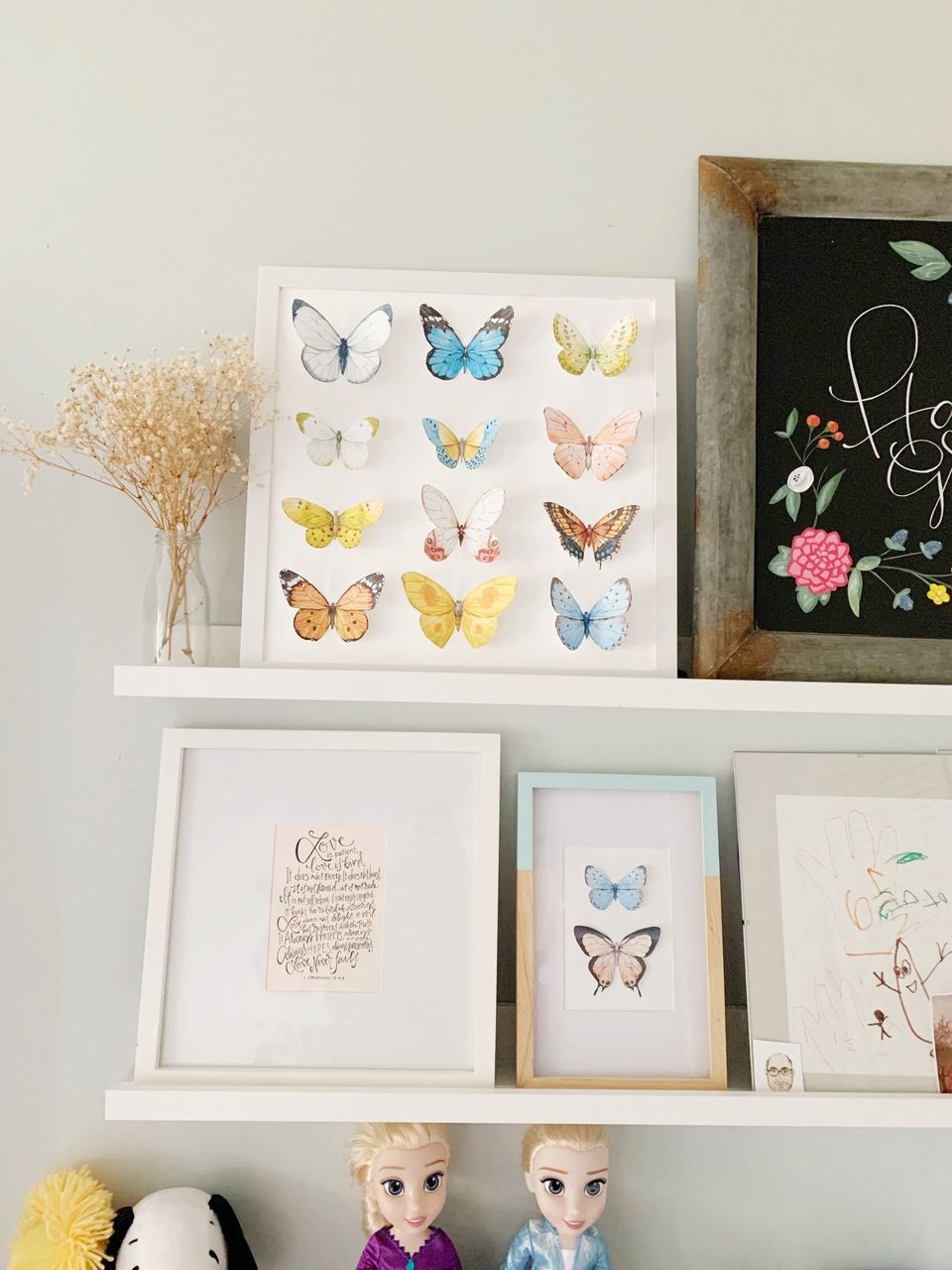white framed butterfly study