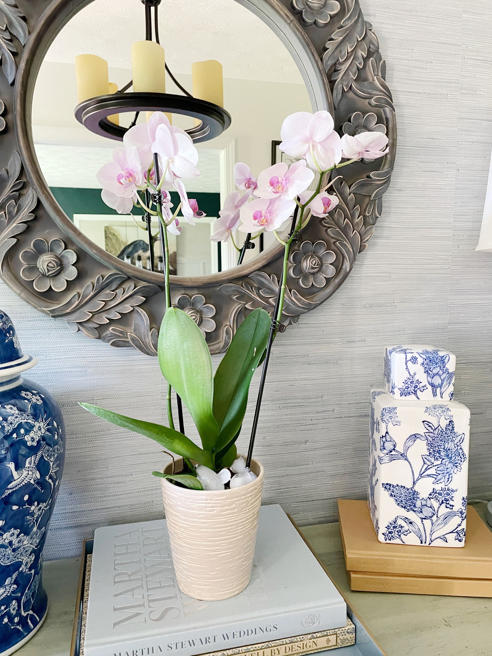 Orchid with grasscloth wallpaper and blue and white pottery
