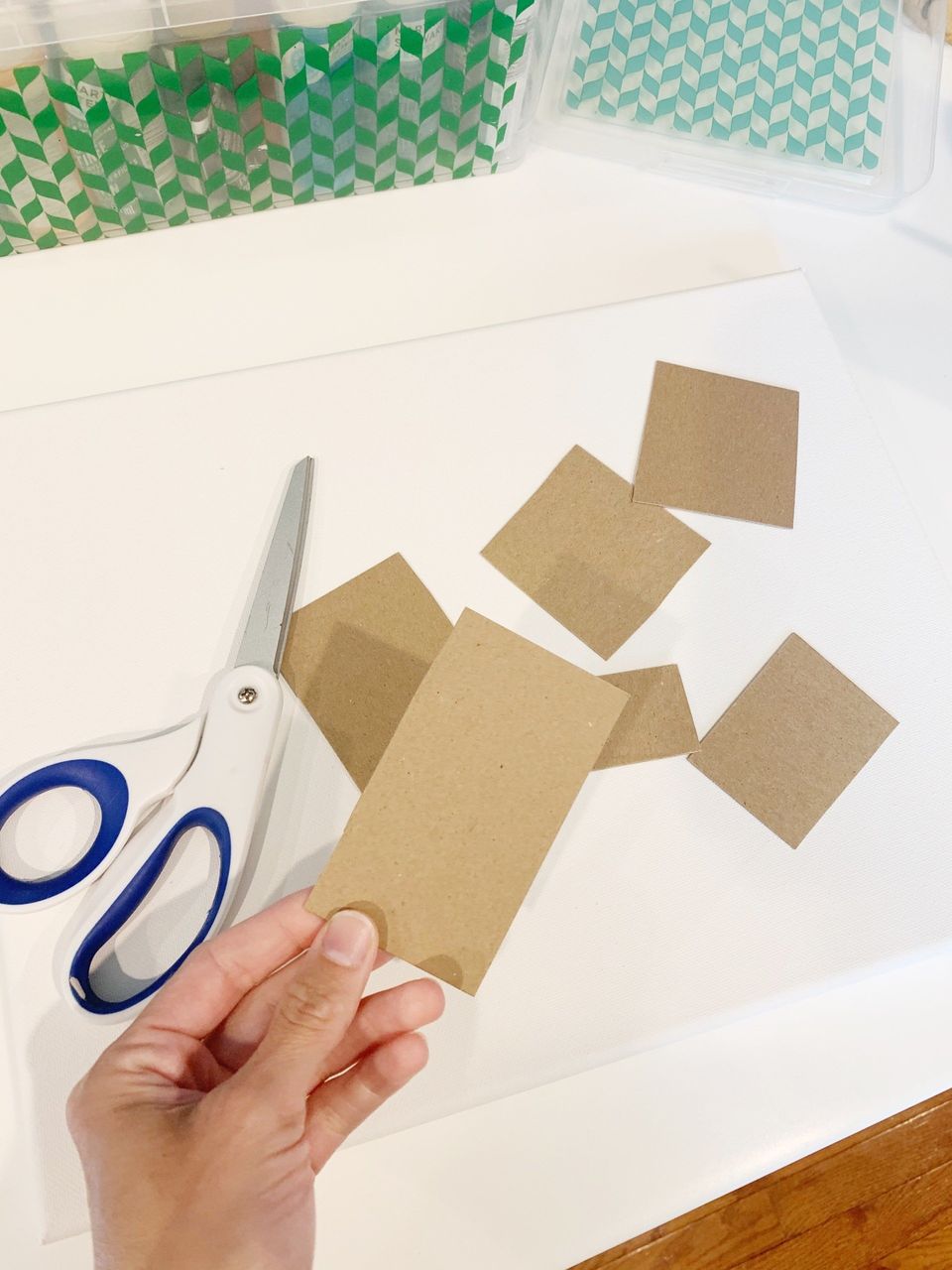 cut cardboard strips