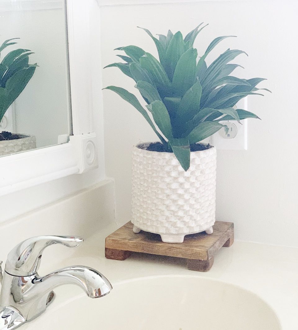 diy wood tray plant stand
