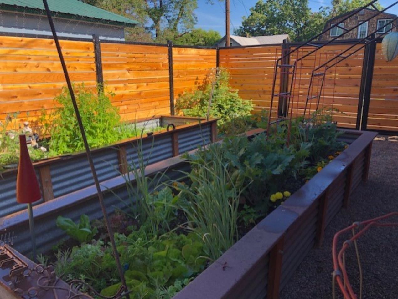 A garden with lots of plants and a wooden fence.
