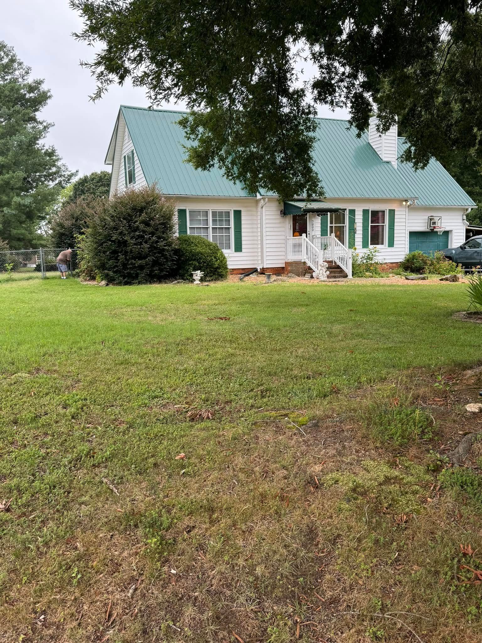 White house with a green metal roof, green shutters, and a grassy yard. A tree frames the house.