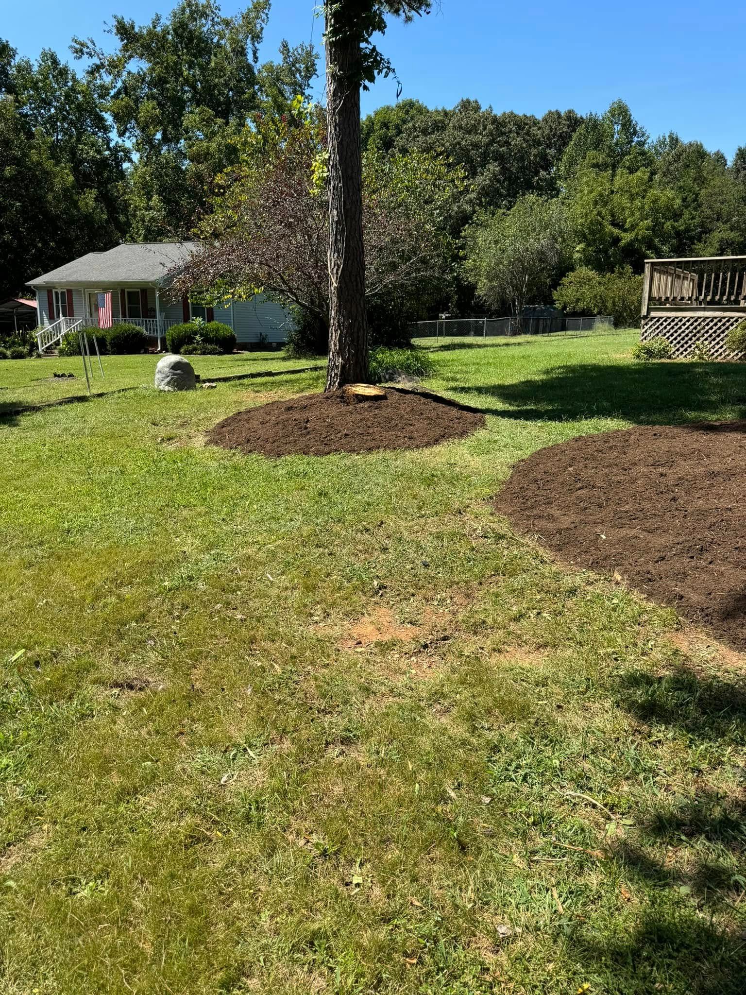A backyard with freshly mulched areas around a tree and a garden bed, with a house in the background on a sunny day.