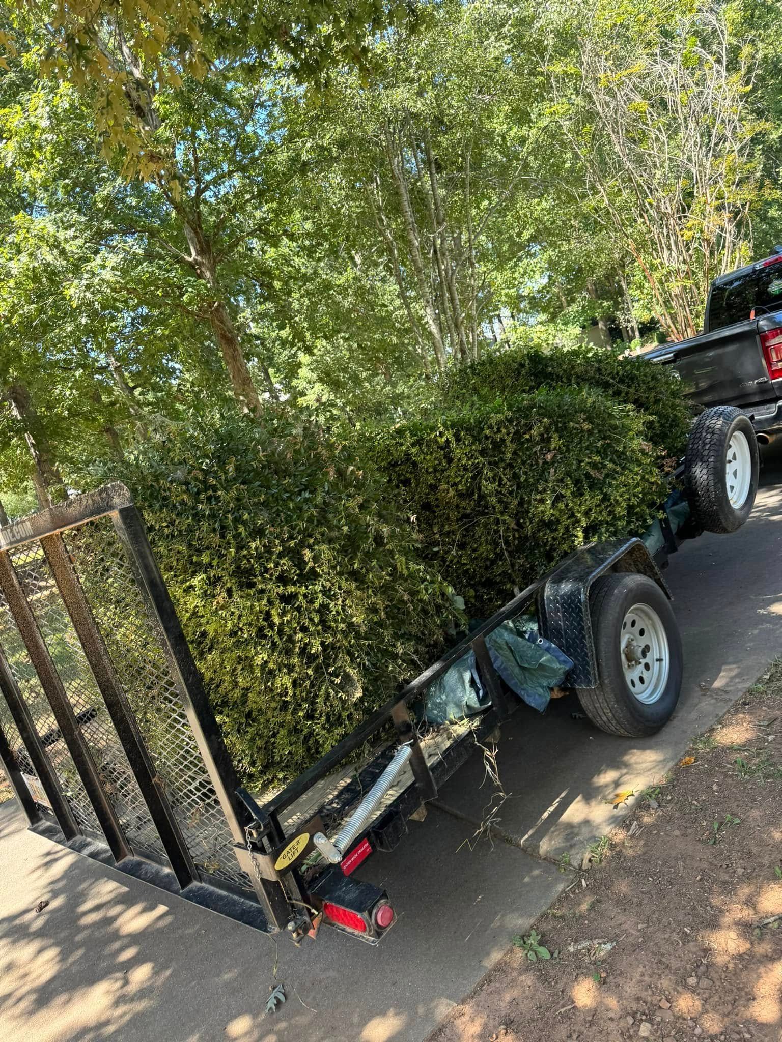 A trailer loaded with green brush being pulled by a black truck on a paved road, with trees in the background.