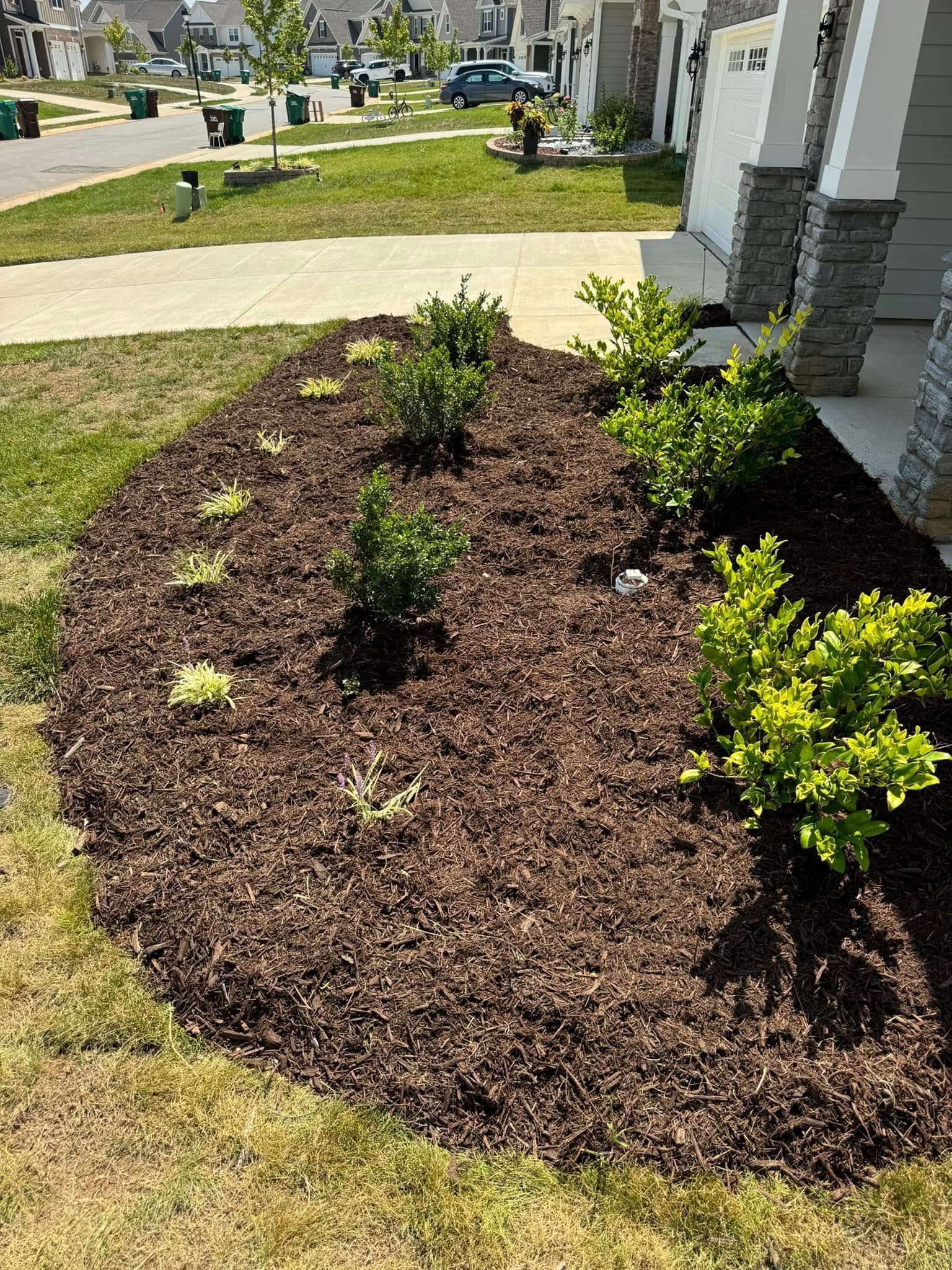 Flower bed with brown mulch, green plants, and a lawn in front of a house.