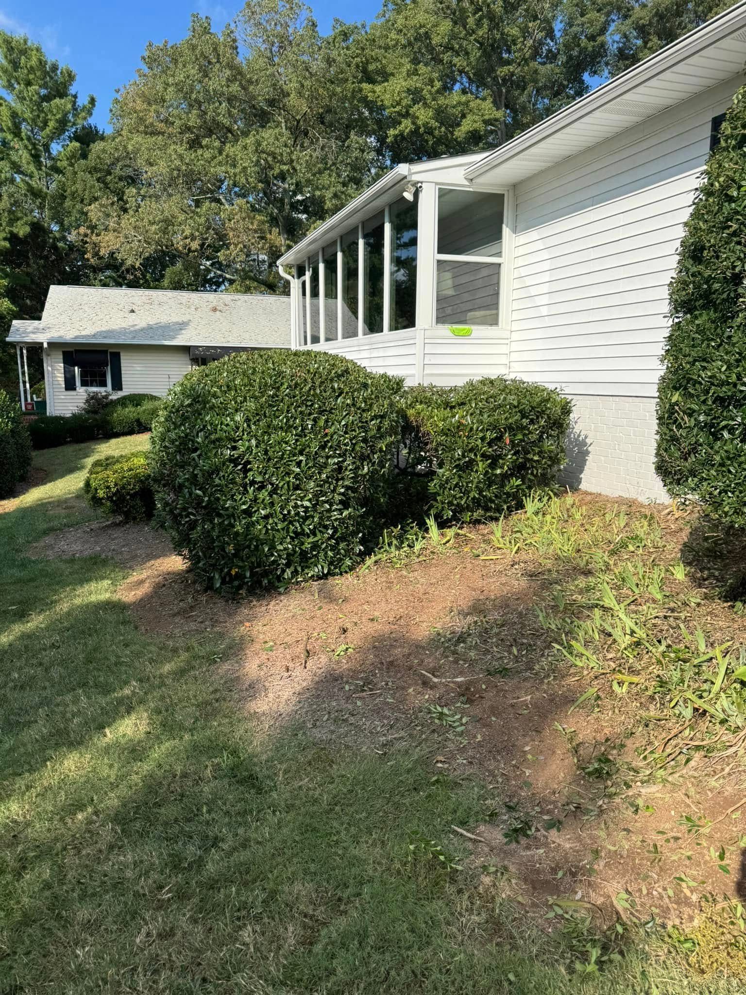 White house with a screened porch, shrubs, and green lawn under a sunny sky. Another small building sits in the background.