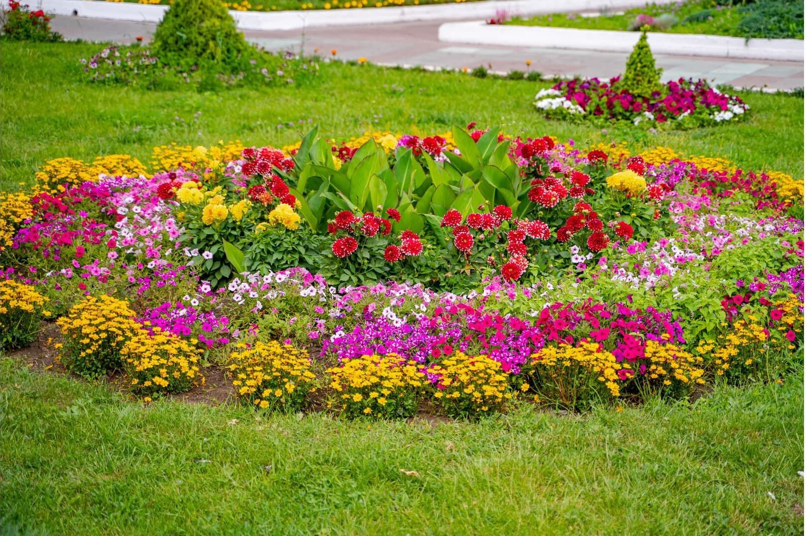 Circular flower bed with colorful flowers in a grassy area. Yellow, red, pink, and purple blossoms create a vibrant display.