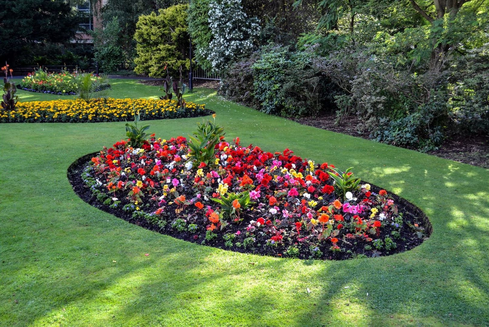 Oval flower bed with vibrant flowers in a park, surrounded by green grass and bushes.