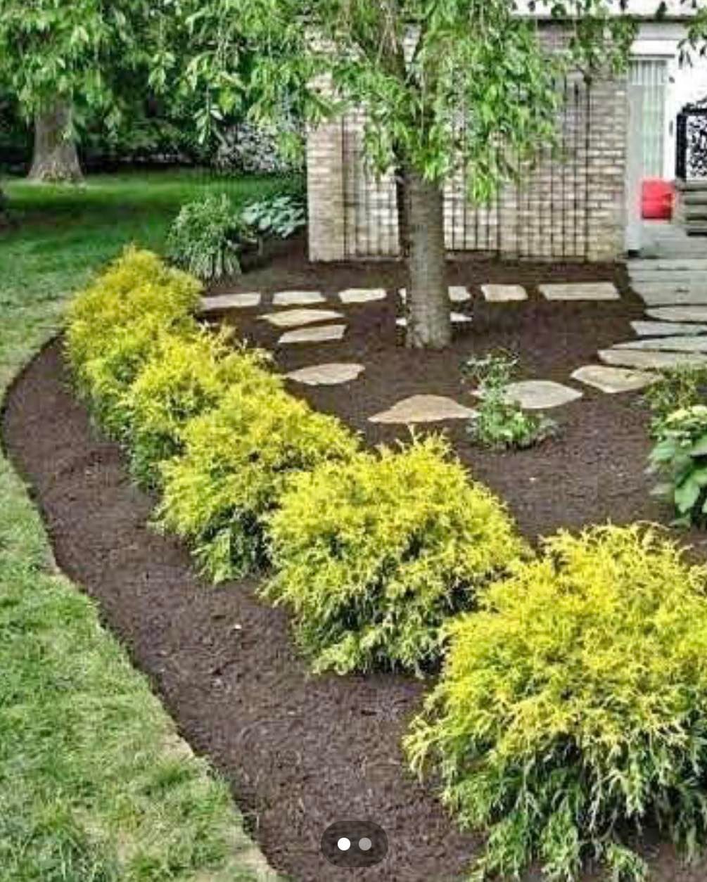 A well-manicured garden bed with vibrant yellow shrubs, dark mulch, and stepping stones surrounding a tree.