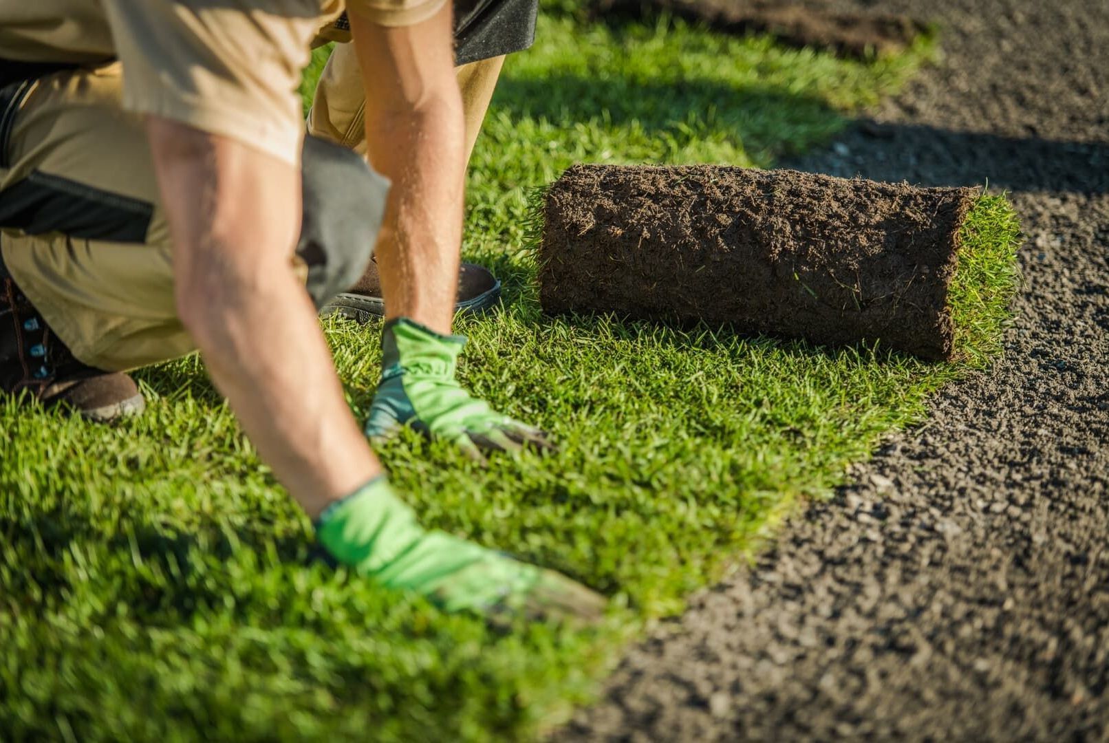 A person laying sod rolls, with a roll of grass, on a gravel path next to a lawn. They are wearing green gloves.