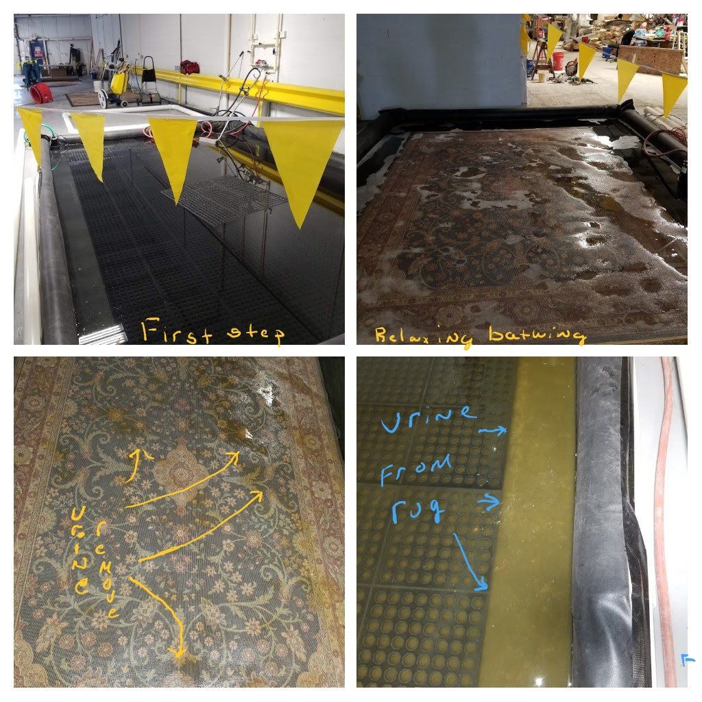 Four-panel floor survey photos showing wet and dry concrete with chalk markings and yellow flags in a lab setting