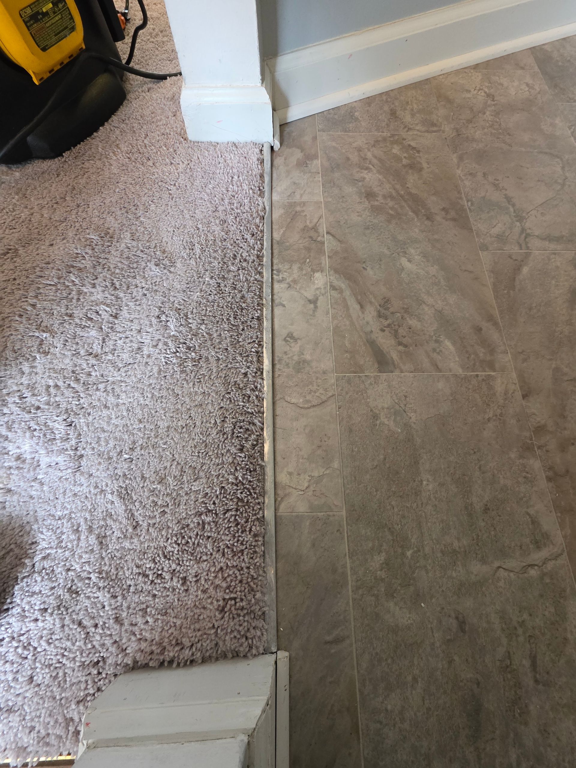 Carpeted room with a threshold transition to gray tile flooring near a white doorframe
