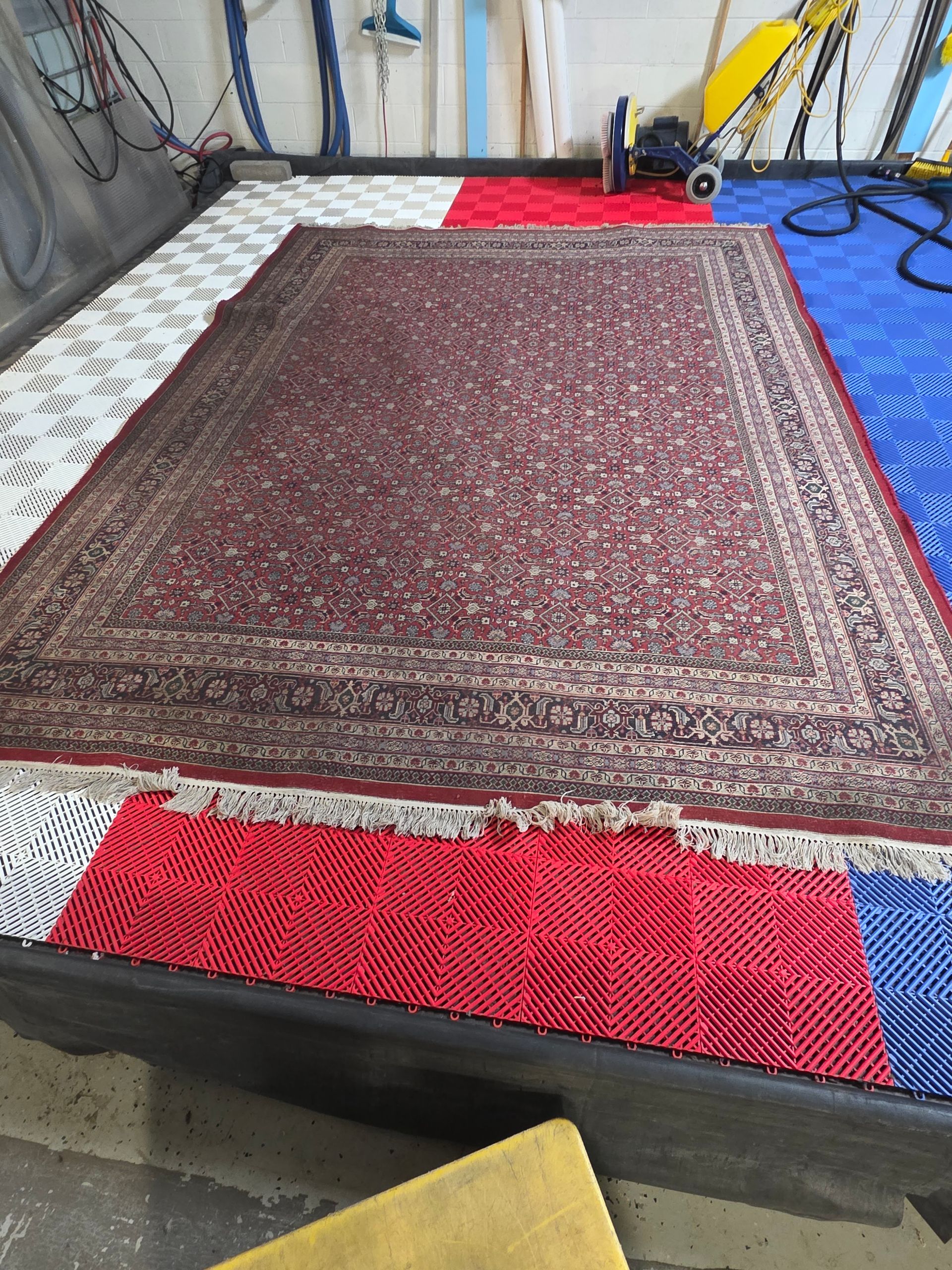 A steam cleaning wand cleans a strip across a patterned rug with a blue and red floral border on a wooden floor.