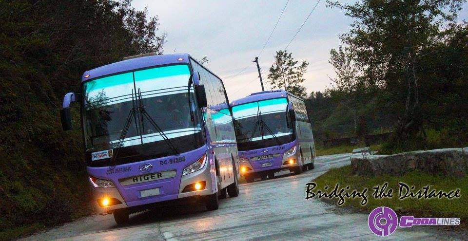 Two purple buses are driving down a dirt road
