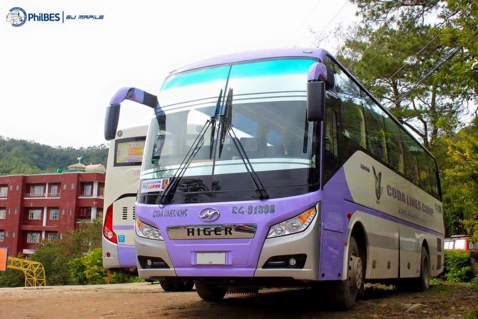 A purple and white bus is parked on the side of the road.