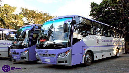 Two purple and white buses are parked next to each other