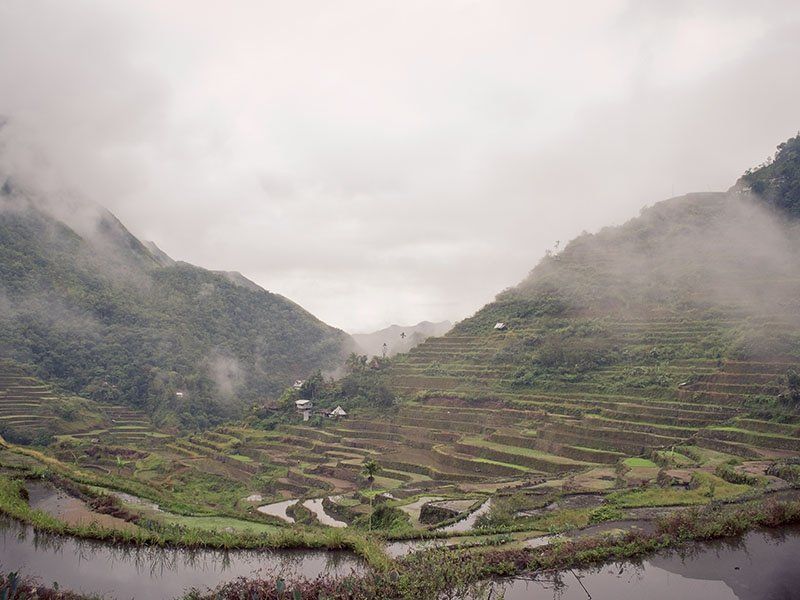 A valley filled with lots of rice terraces and mountains in the background.