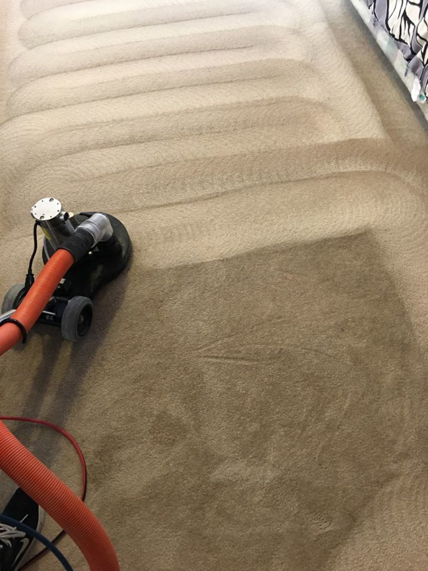 A vacuum cleaner is cleaning a carpet in a room.