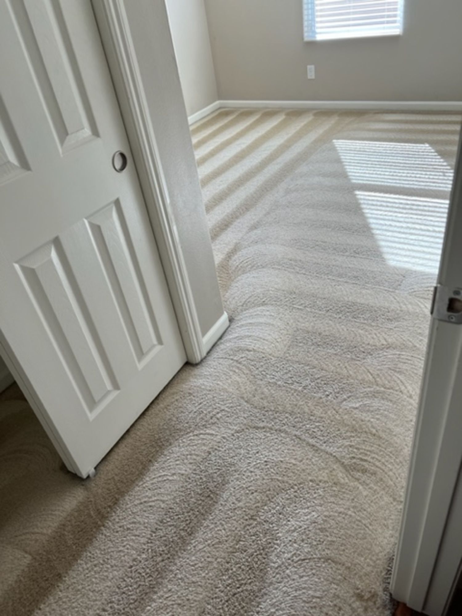 A bedroom with a carpeted floor and a white door.