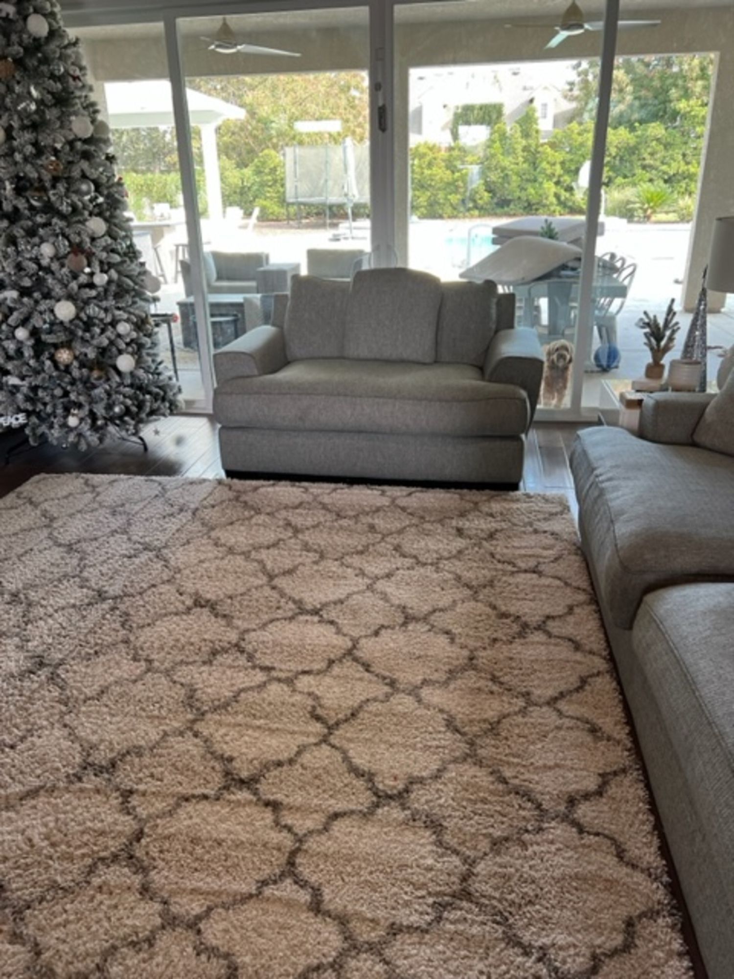 A living room with a couch , chair , rug and a christmas tree.