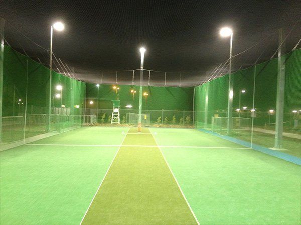 cricket court
