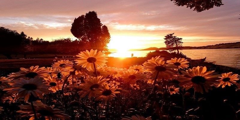 cremation services in Kennett Square, PA