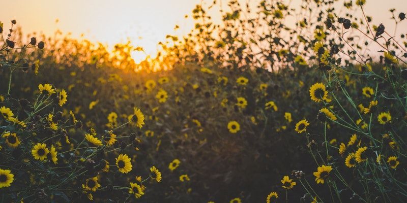 cremation services in Kennett Square, PA