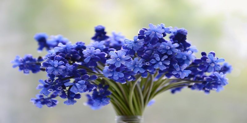 cremation services in Landenberg, PA