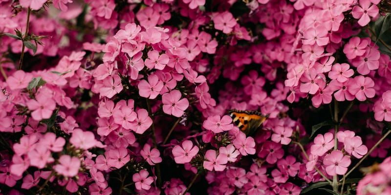 cremation services in Unionville, PA