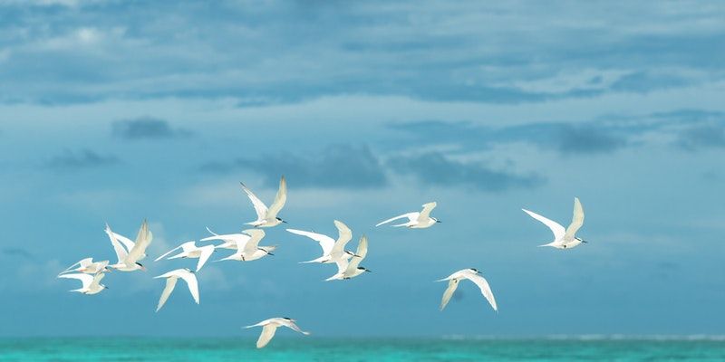 funeral homes Chadds Ford Township, PA