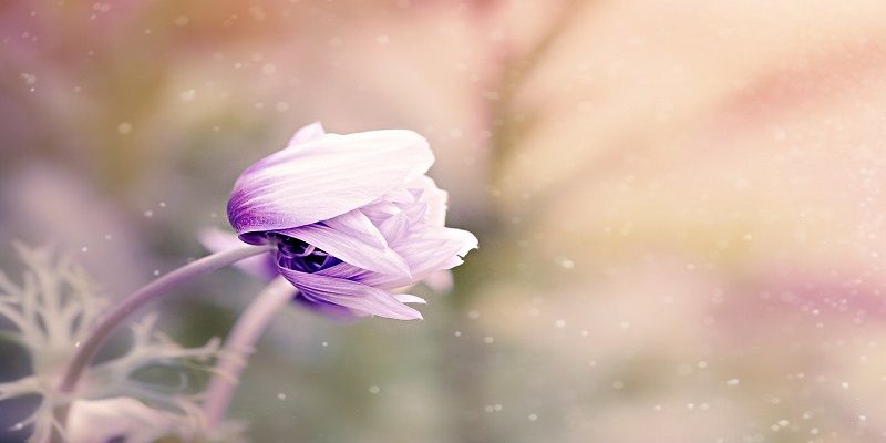 funeral homes in Avondale, PA