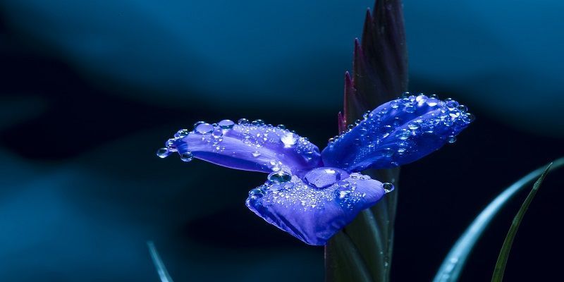 funeral homes in Chadds Ford Township, PA