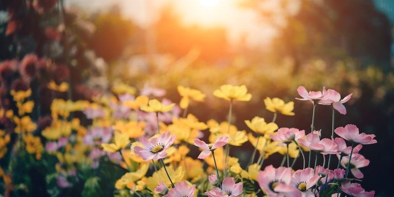 funeral homes in Landenberg PA