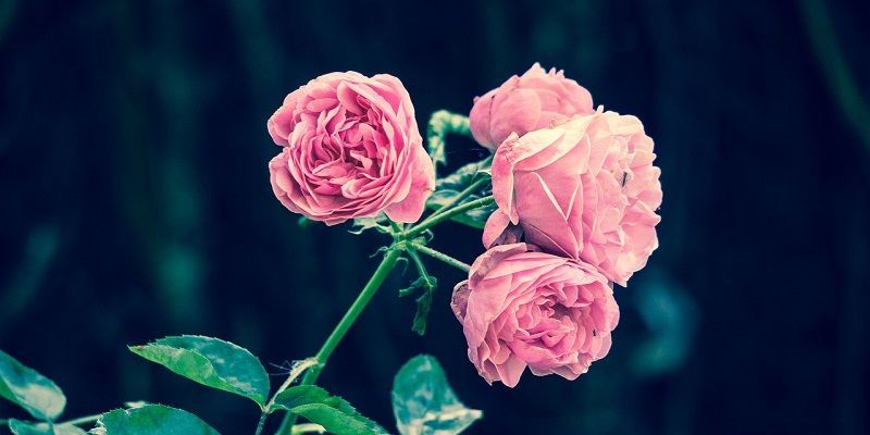 funeral homes in Landenberg, PA