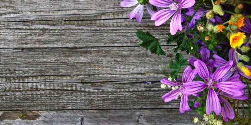 funeral homes in West Grove PA