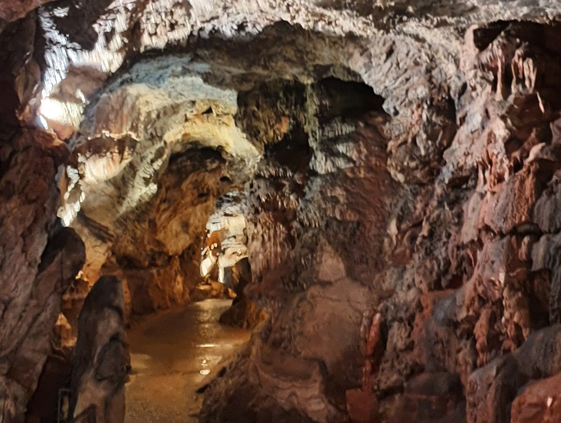 Private tour of caves at Kents Cavern, the oldest dwelling in Briain