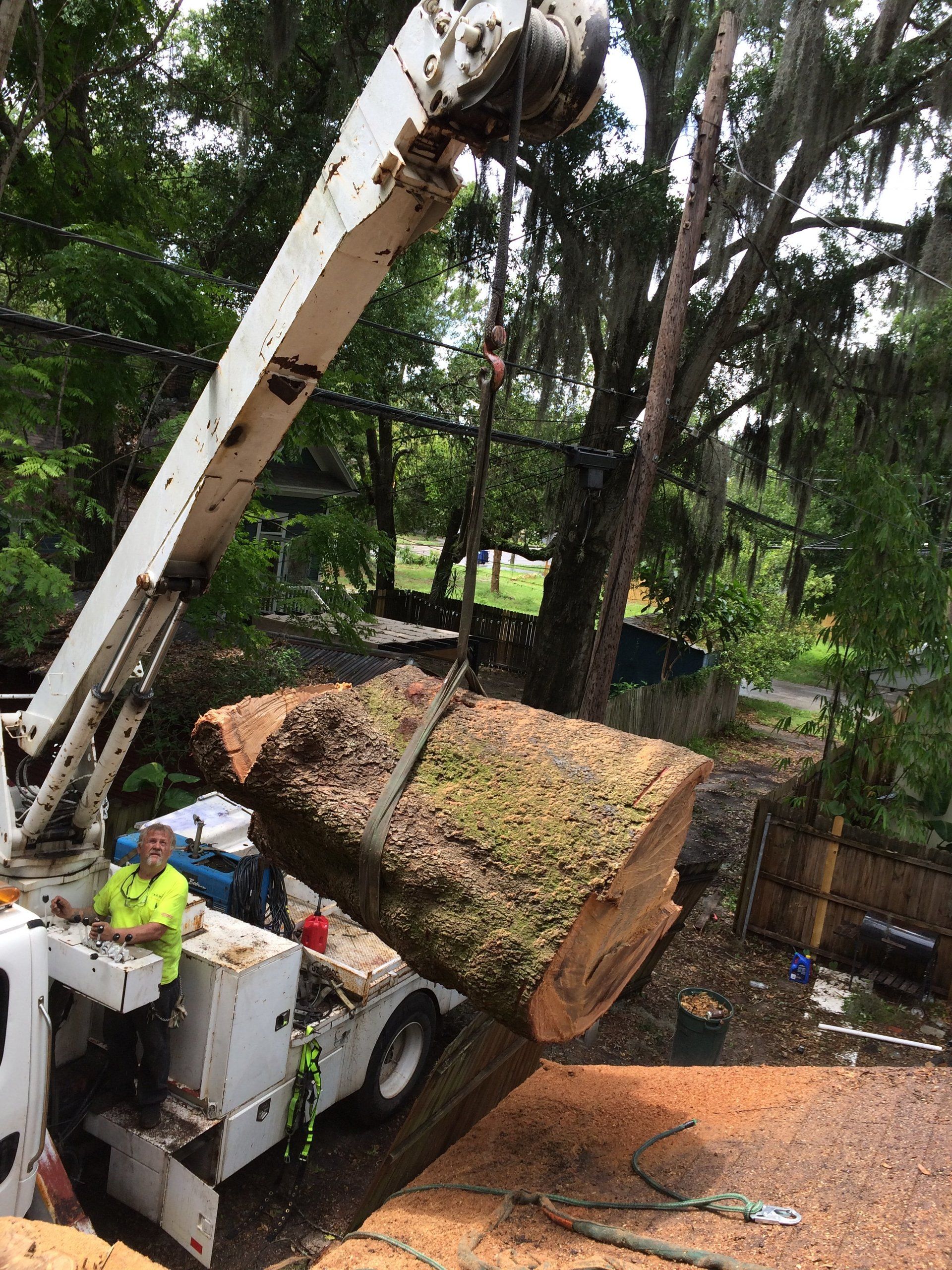 A large tree stump is being lifted by a crane.