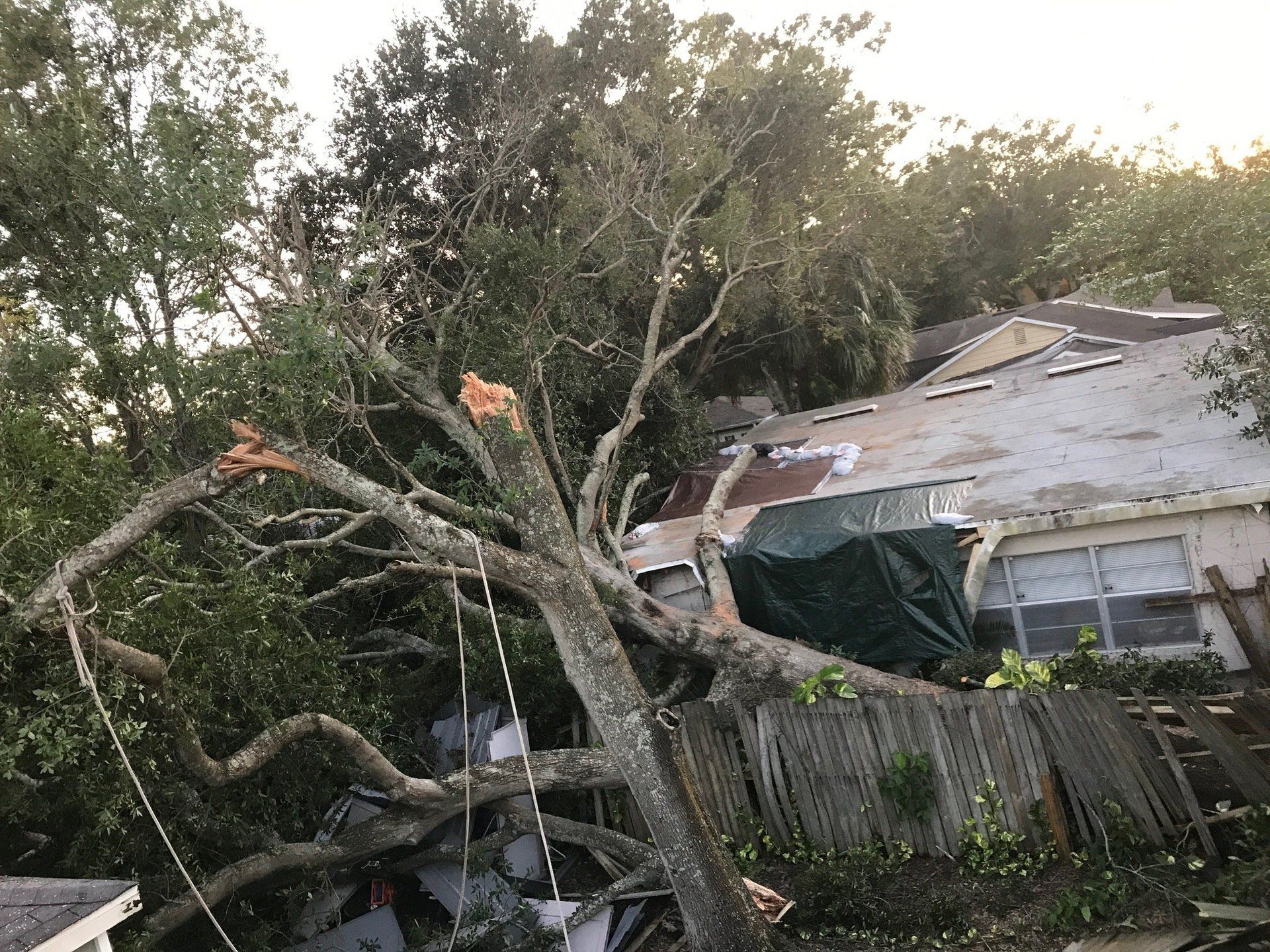 A tree that has fallen on top of a house.