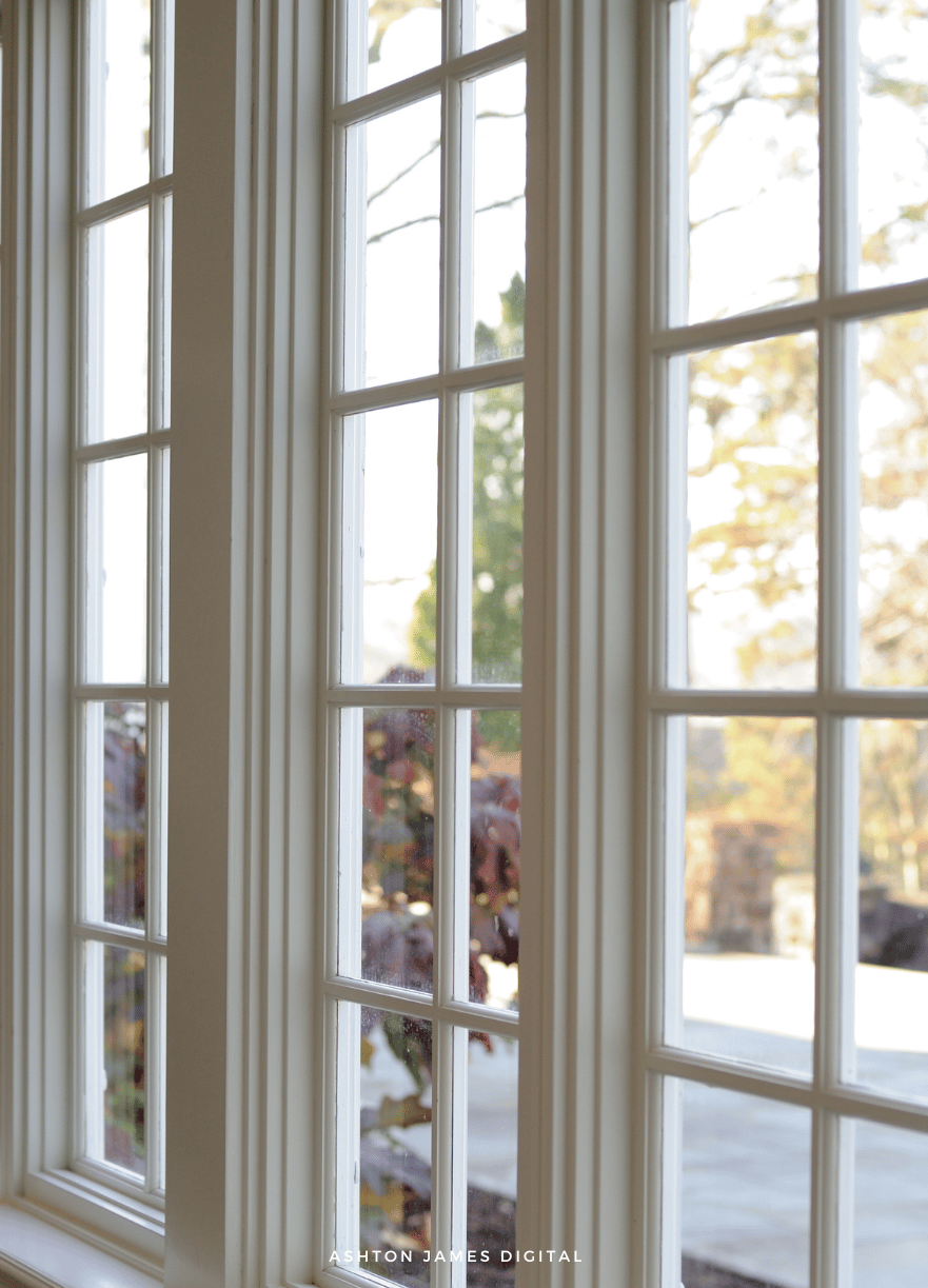 White framed windows with multiple panes, view of sunny outdoor foliage.