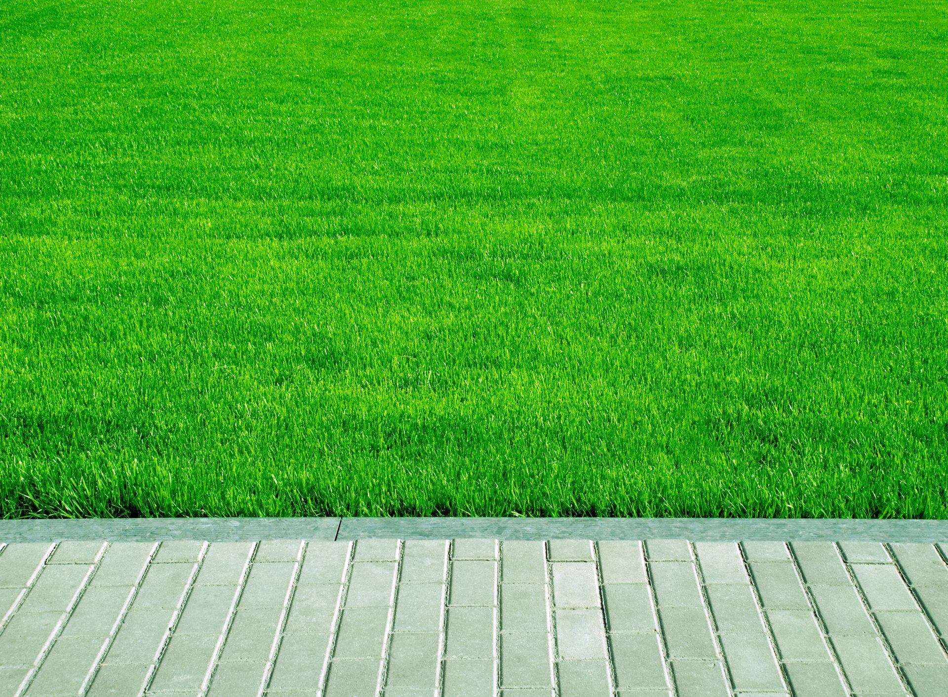 Artificial Grass in Riverside, CA