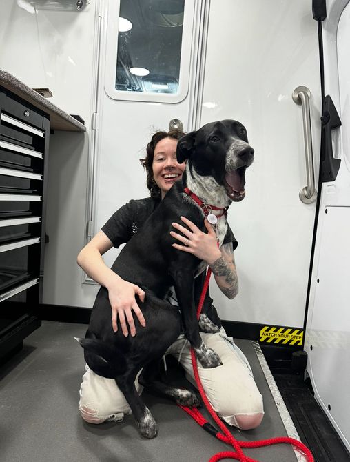 Ottillie sitting in her grooming van with a lab-pitbull mix resting calmly in her lap after a bath in Granite Bay.