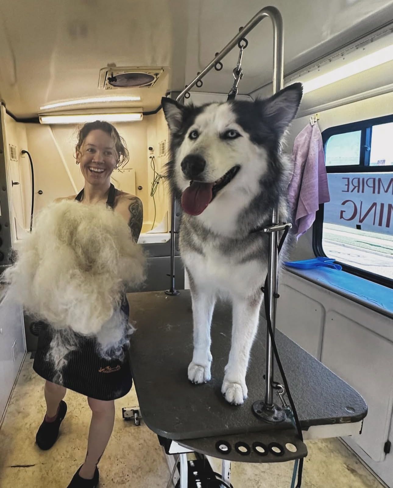 Ottillie holding giant husky fur pile smiling next to Blu, a happy grey and white husky post-deshed