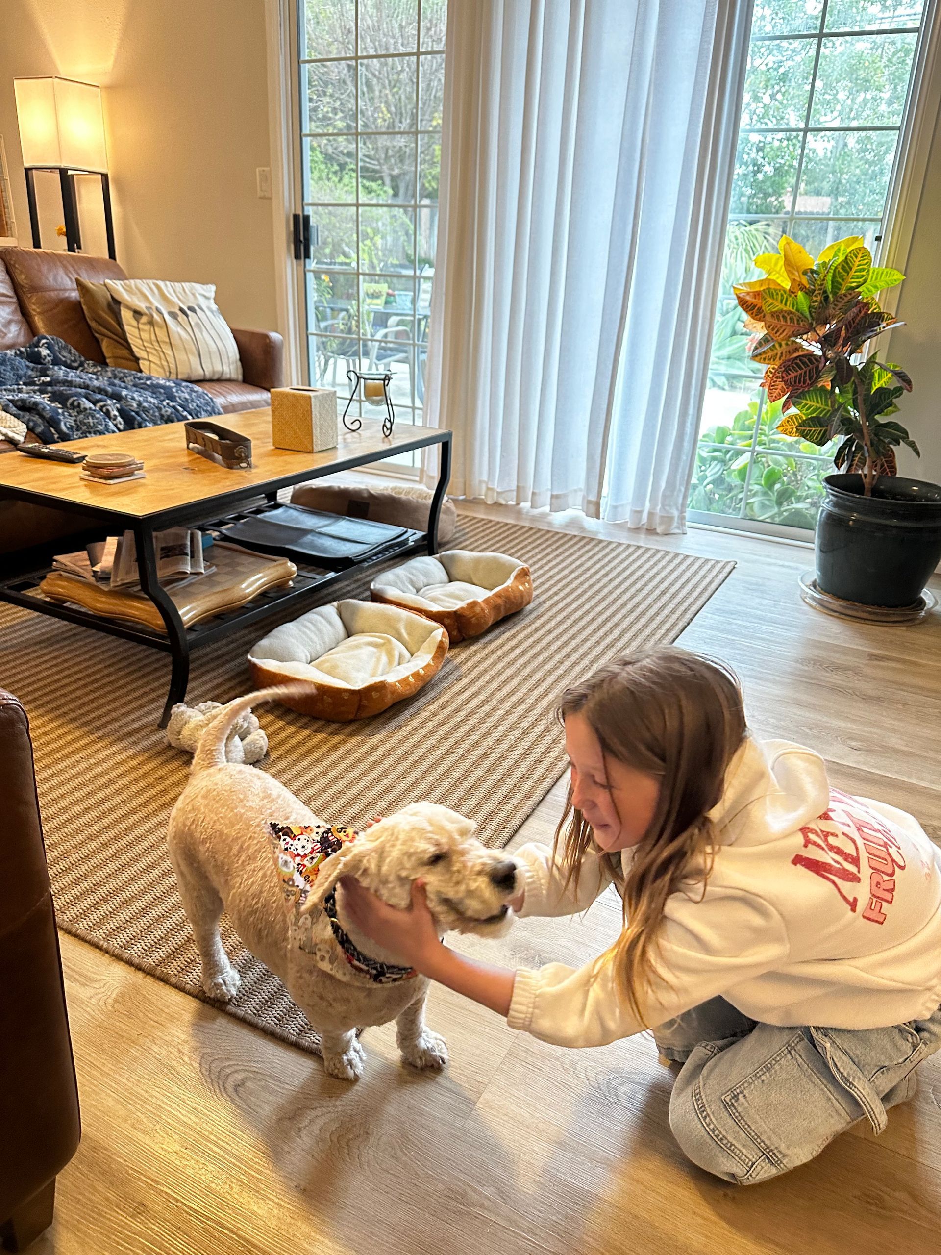 Marshmallow joyfully being pet by a young girl at home after full groom