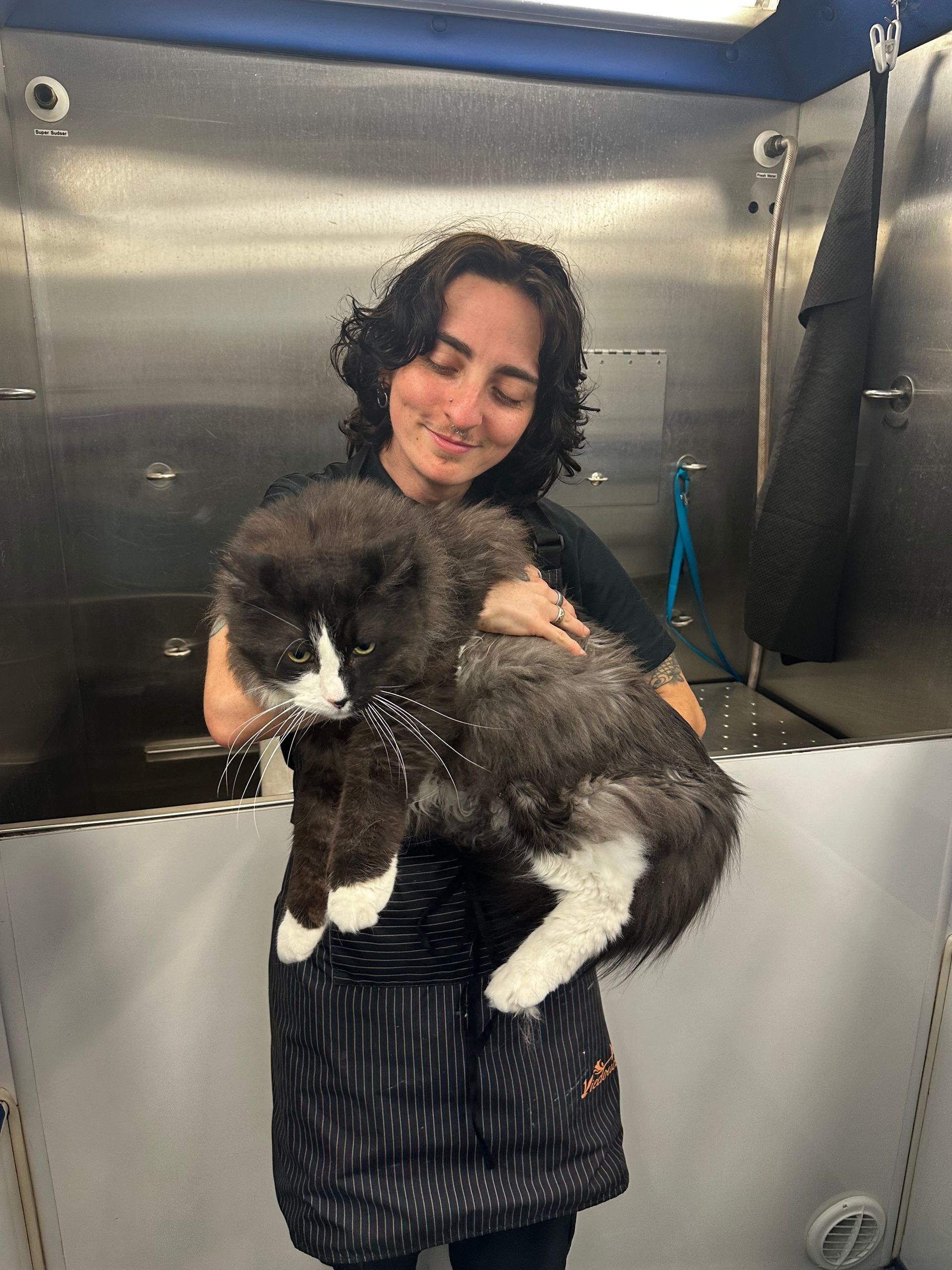 Brandon holding black and white Maine Coon mix, Louis, in grooming van before bath and haircut